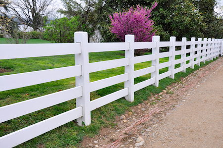 Fence Removal